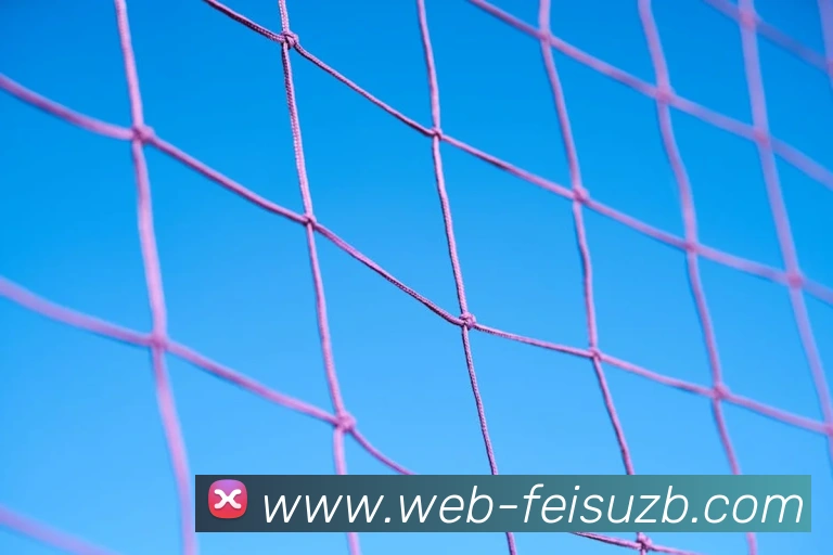 飞速足球直播品牌故事